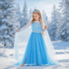 Vestido Frozen Bordado Con Accesorios
