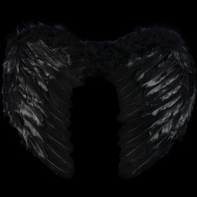 Alas de Plumas Negras y Vincha Cuernos de Maléfica - Imagen 8